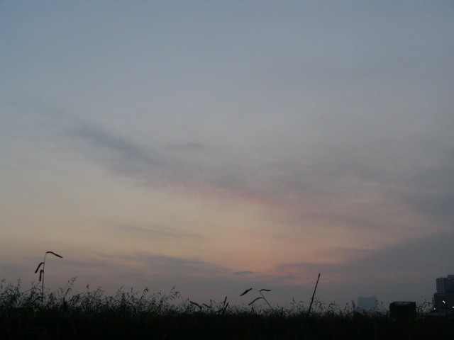 2005/7/2 出遅れた夕焼け