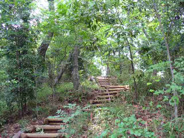 2005/6/1 昼の散歩道「登山」ちょと・・・