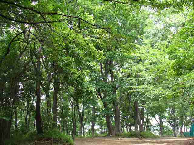 2005/6/1 昼の散歩道「森林浴」ちょと・・・