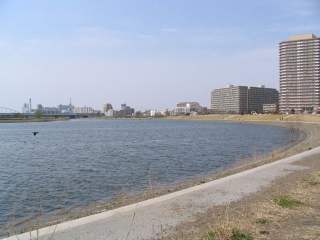 2006/3/26 春の多摩川