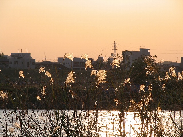 2007/11/4 15:58 秋だなぁ