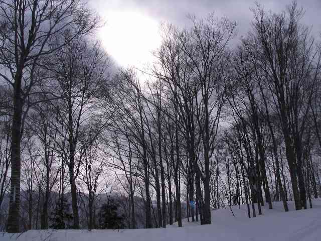 2007/1/14 冬の景色（腰がいたい）