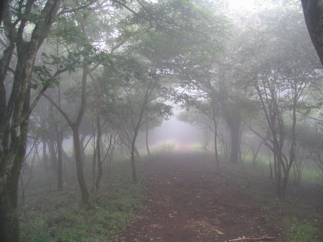 2007/9/9 12:48ヤビツ峠から大山へ