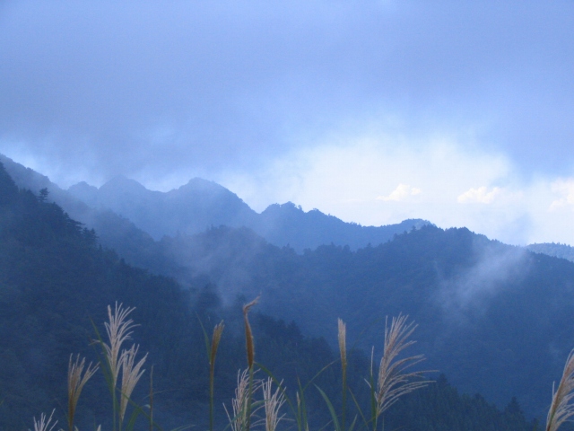 2007/9/9 15:44見晴台近辺