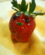 いちご２
