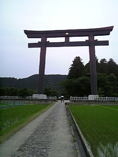 torii060610_155312_M.jpg