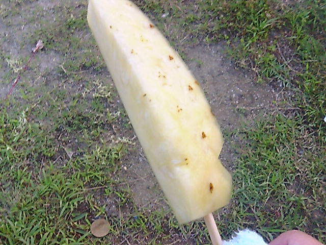 パイン