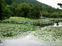龍安寺ー鏡容池