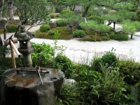 妙満寺-雪の庭3