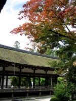 上賀茂神社ー紅葉