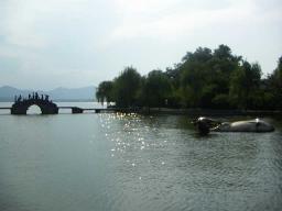 西湖　牛