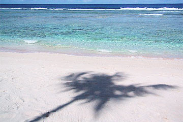006-2.jpg