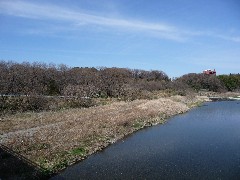 都幾川から望む館跡