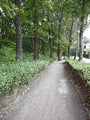 緑道1