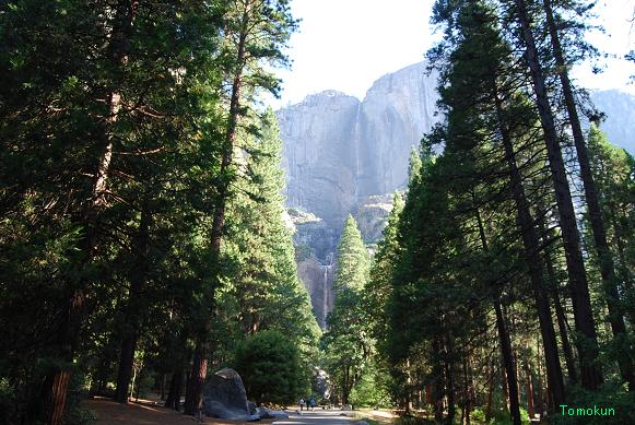 Yosemite Falls Vista