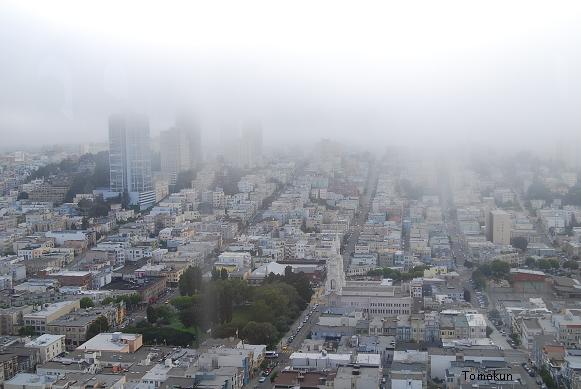 コイトタワーから