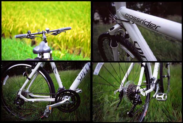 SPECIALIZED CROSSRIDER A1 CS SPORT クロスライダ－ | 写真を楽しもっと♪ - 楽天ブログ