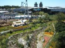 緑いっぱい会場