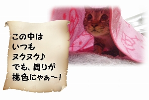 ★桃色.jpg