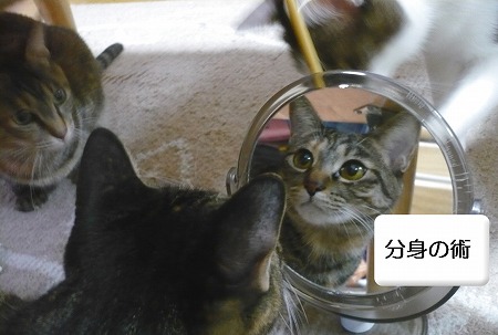 分身の術