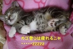 ★ねむ.jpg