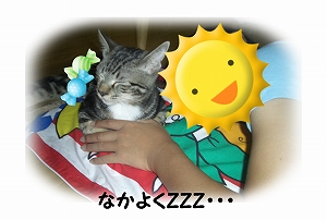 ★なかよくzzz.jpg