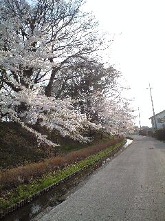 城山館