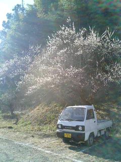 作業車・マライアサン