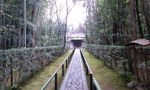 高桐院