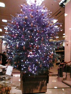 ロビーのクリスマス･ツリー