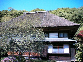 海蔵寺の藁葺き屋根