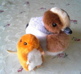かやねずみとひどりがも