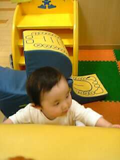 himawari_300days_2