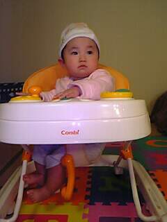 himawari_253days_3