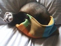 ふんわり