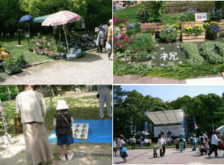 公園の中.gif