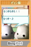 ピョン様と白まめ８