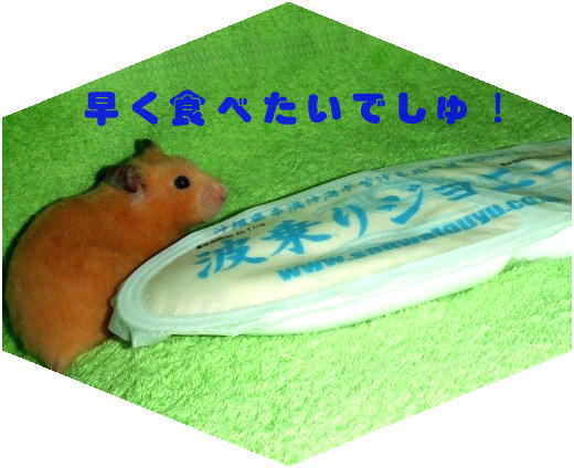 2006_1004とうふ0012.jpg