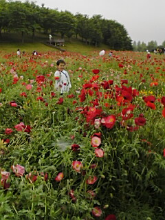 １１日　１０.jpg