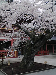 塩釜神社　６.jpg