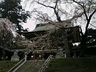 塩釜神社　８.jpg