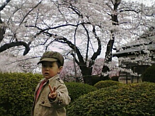 塩釜神社　１１.jpg