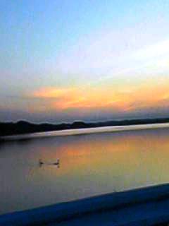 「夕日が綺麗ね」