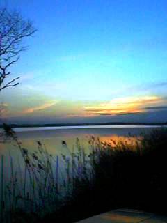 夕日