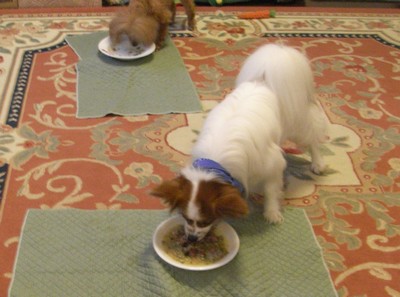 2010.7.13ゴハンを食べる.jpg