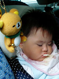 リラックマ２匹