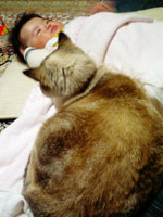 見られてる！！