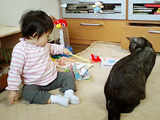 やぁやぁっ。