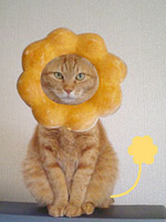 ポンデ・・・猛獣？