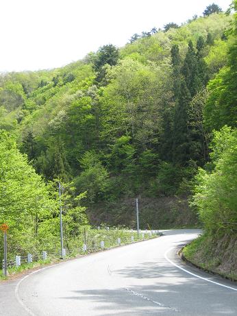 h19.5.16 山の村　山吹峠 道路と新緑